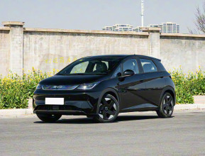 BYD Dolphin Top 2025 - 3 | bex-auto.md