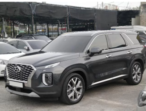 Hyundai Palisade 2019 - 6 | bex-auto.md