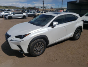Lexus NX 300H 2019 - 2 | bex-auto.md